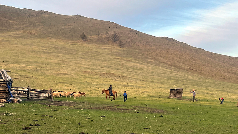 Exploring Mongolian nomadic family lifestyle